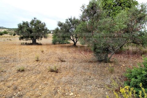 Helårsgrund i Tunes, Faro, Tunes - € 40.000 | Ref: STC2167 - foto 3