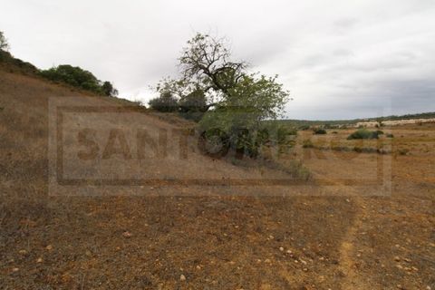 Helårsgrund i Tunes, Faro, Tunes - € 40.000 | Ref: STC2167 - foto 4