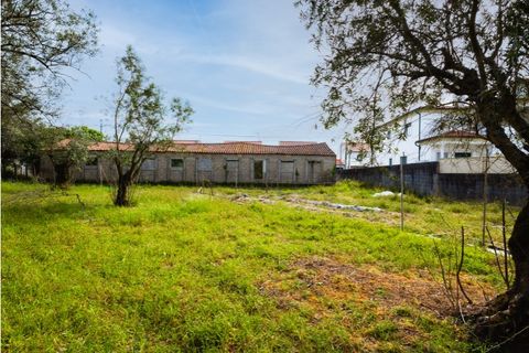 Helårsgrund i Mealhada, Aveiro, Mealhada - € 119.999 | Ref: CBRNT 6300 - foto 10