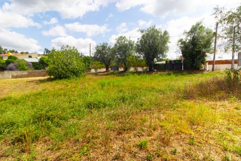 Helårsgrund i Portunhos e Outil, Coimbra, Portunhos e Outil - € 27.000 | Ref: CNTDC 6075 - foto 2