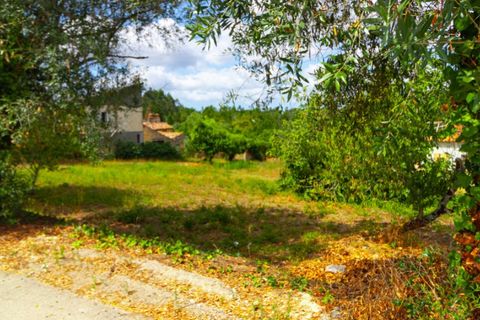 Helårsgrund i Portunhos e Outil, Coimbra, Portunhos e Outil - € 27.000 | Ref: CNTDC 6075 - foto 3