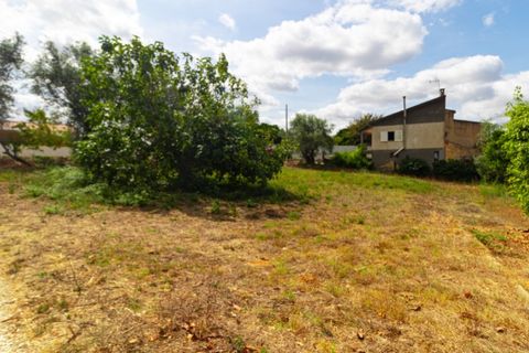 Helårsgrund i Portunhos e Outil, Coimbra, Portunhos e Outil - € 27.000 | Ref: CNTDC 6075 - foto 4