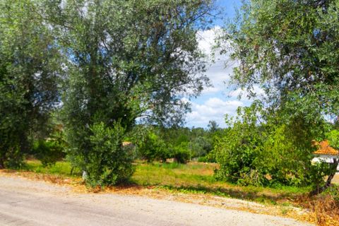 Helårsgrund i Portunhos e Outil, Coimbra, Portunhos e Outil - € 27.000 | Ref: CNTDC 6075 - foto 5