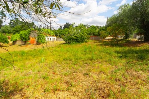 Helårsgrund i Portunhos e Outil, Coimbra, Portunhos e Outil - € 27.000 | Ref: CNTDC 6075 - foto 6