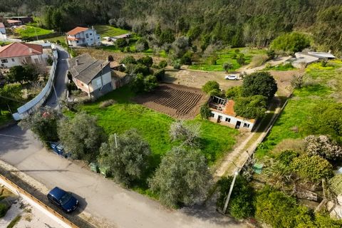 Helårsgrund i Portunhos e Outil, Coimbra, Portunhos e Outil - € 27.000 | Ref: CNTDC 6075 - foto 11