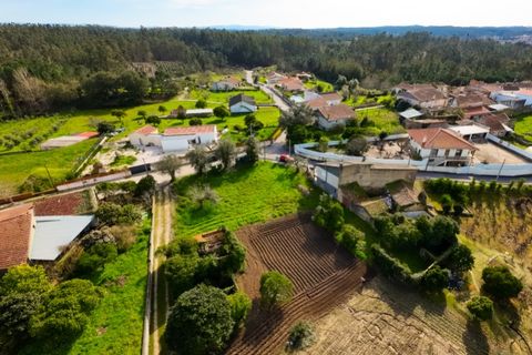 Helårsgrund i Portunhos e Outil, Coimbra, Portunhos e Outil - € 27.000 | Ref: CNTDC 6075 - foto 12