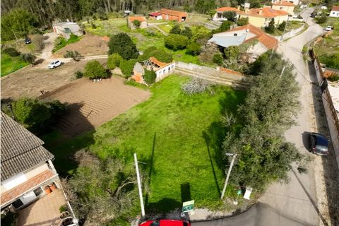 Helårsgrund i Portunhos e Outil, Coimbra, Portunhos e Outil - € 27.000 | Ref: CNTDC 6075 - foto 13