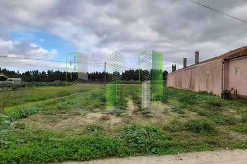 Grond in Cantanhede, Coimbra, Cantanhede - € 30.000 | Ref: CNTCM 3772 - foto 1