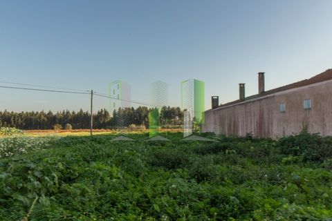 Grond in Cantanhede, Coimbra, Cantanhede - € 30.000 | Ref: CNTCM 3772 - foto 11