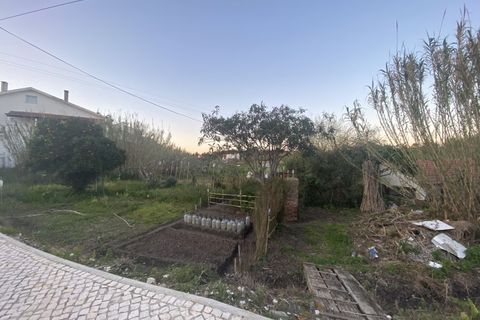 Terra a Soure, Coimbra, Soure - € 89.000 | Ref: FFMJ 6229 - foto 5