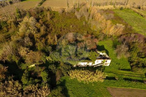 Granja a Coimbra, Coimbra, Coimbra - € 55.000 | Ref: FFFM 4067 - foto 3