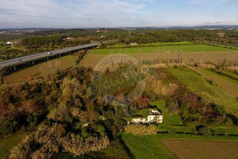 Granja a Coimbra, Coimbra, Coimbra - € 55.000 | Ref: FFFM 4067 - foto 4