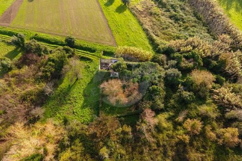 Granja a Coimbra, Coimbra, Coimbra - € 55.000 | Ref: FFFM 4067 - foto 5