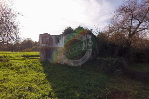 Granja a Coimbra, Coimbra, Coimbra - € 55.000 | Ref: FFFM 4067 - foto 6