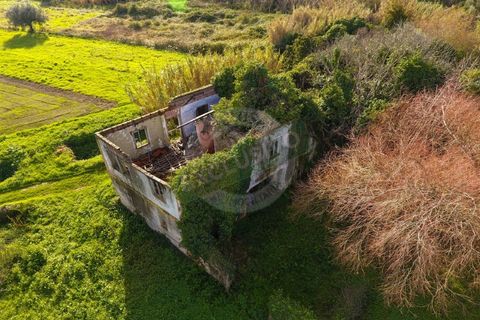 Granja a Coimbra, Coimbra, Coimbra - € 55.000 | Ref: FFFM 4067 - foto 7