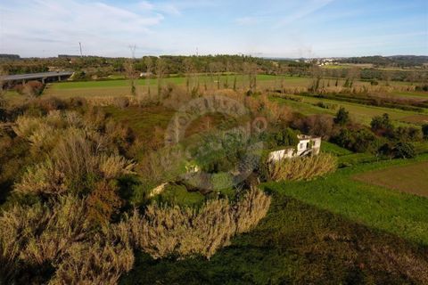 Granja a Coimbra, Coimbra, Coimbra - € 55.000 | Ref: FFFM 4067 - foto 8