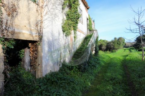 Granja a Coimbra, Coimbra, Coimbra - € 55.000 | Ref: FFFM 4067 - foto 11