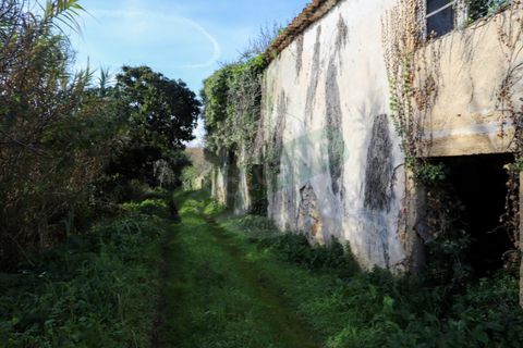 Granja a Coimbra, Coimbra, Coimbra - € 55.000 | Ref: FFFM 4067 - foto 12