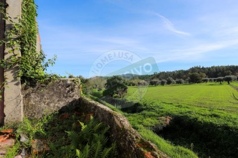 Granja a Coimbra, Coimbra, Coimbra - € 55.000 | Ref: FFFM 4067 - foto 13