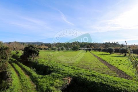 Granja a Coimbra, Coimbra, Coimbra - € 55.000 | Ref: FFFM 4067 - foto 14