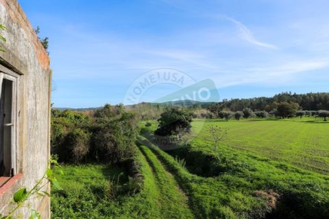 Granja a Coimbra, Coimbra, Coimbra - € 55.000 | Ref: FFFM 4067 - foto 15