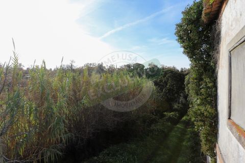 Granja a Coimbra, Coimbra, Coimbra - € 55.000 | Ref: FFFM 4067 - foto 16