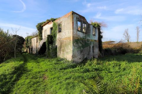Granja a Coimbra, Coimbra, Coimbra - € 55.000 | Ref: FFFM 4067 - foto 17
