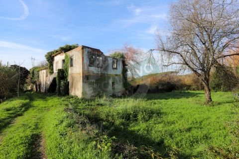 Granja a Coimbra, Coimbra, Coimbra - € 55.000 | Ref: FFFM 4067 - foto 18