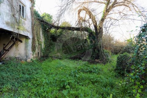 Granja a Coimbra, Coimbra, Coimbra - € 55.000 | Ref: FFFM 4067 - foto 19