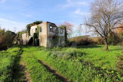 Granja a Coimbra, Coimbra, Coimbra - € 55.000 | Ref: FFFM 4067 - foto 20