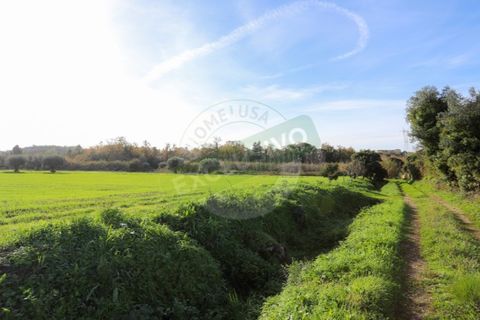 Granja a Coimbra, Coimbra, Coimbra - € 55.000 | Ref: FFFM 4067 - foto 21