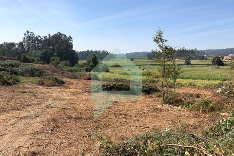 Terra em Barcelos, Braga, Barcelos - € 65.000 | Ref: SÒL_2030 - foto 2