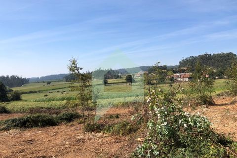 Terra em Barcelos, Braga, Barcelos - € 65.000 | Ref: SÒL_2030 - foto 3