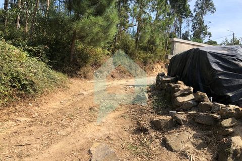 Terra em Barcelos, Braga, Barcelos - € 65.000 | Ref: SÒL_2030 - foto 5