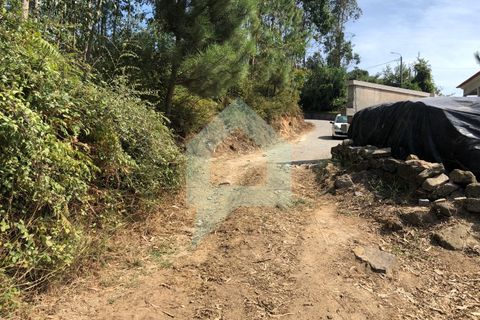 Terra em Barcelos, Braga, Barcelos - € 65.000 | Ref: SÒL_2030 - foto 6