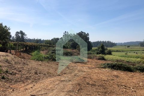 Terra em Barcelos, Braga, Barcelos - € 65.000 | Ref: SÒL_2030 - foto 7