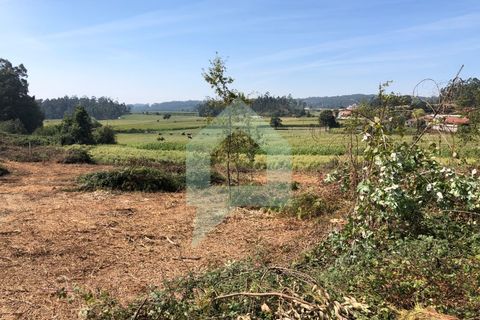 Terra em Barcelos, Braga, Barcelos - € 65.000 | Ref: SÒL_2030 - foto 8