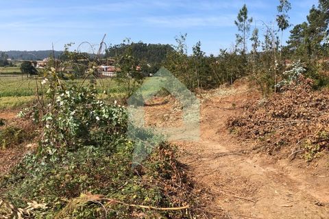 Terra em Barcelos, Braga, Barcelos - € 65.000 | Ref: SÒL_2030 - foto 9