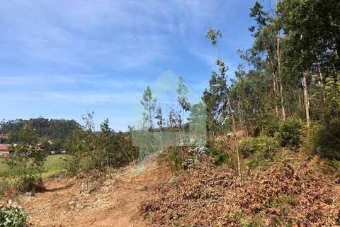 Terra em Barcelos, Braga, Barcelos - € 65.000 | Ref: SÒL_2030 - foto 10