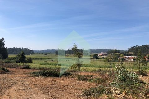 Terra em Barcelos, Braga, Barcelos - € 65.000 | Ref: SÒL_2030 - foto 11
