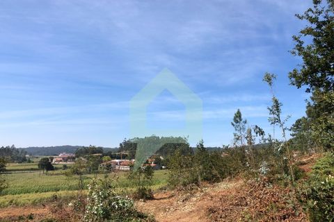 Terra em Barcelos, Braga, Barcelos - € 65.000 | Ref: SÒL_2030 - foto 12