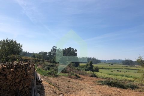 Terra em Barcelos, Braga, Barcelos - € 65.000 | Ref: SÒL_2030 - foto 13