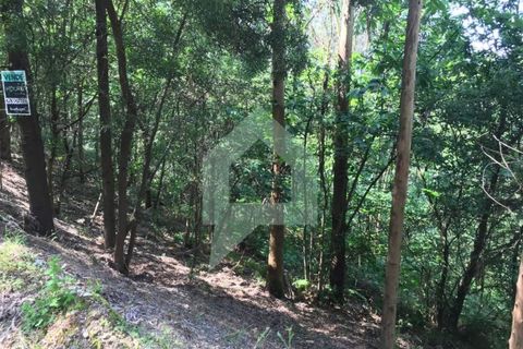 Terreno en Barcelos, Braga, Barcelos - € 25.000 | Ref: 1543 - photo 2
