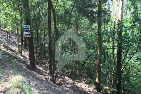 Terreno en Barcelos, Braga, Barcelos - € 25.000 | Ref: 1543 - photo 3