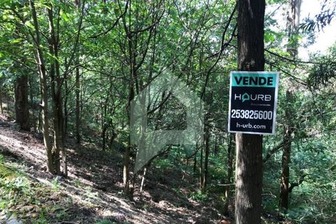 Terreno en Barcelos, Braga, Barcelos - € 25.000 | Ref: 1543 - photo 4