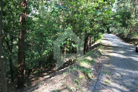 Terreno en Barcelos, Braga, Barcelos - € 25.000 | Ref: 1543 - photo 5