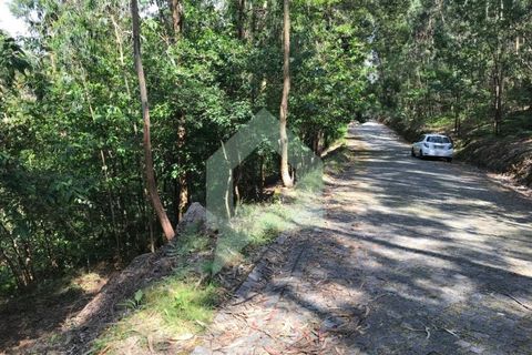 Terreno en Barcelos, Braga, Barcelos - € 25.000 | Ref: 1543 - photo 6