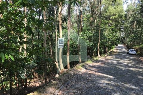 Terreno en Barcelos, Braga, Barcelos - € 25.000 | Ref: 1543 - photo 7