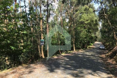 Terreno en Barcelos, Braga, Barcelos - € 25.000 | Ref: 1543 - photo 8
