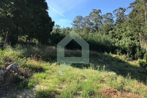 Terra a Guimaraes, Braga, Guimaraes - € 110.000 | Ref: 001413 - foto 2